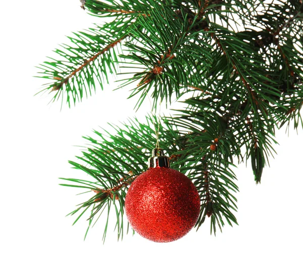 Blue bauble on a Christmas tree branch — Stock Photo, Image