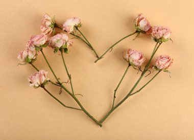 Kalp şeklinde kurutulmuş çiçekler 