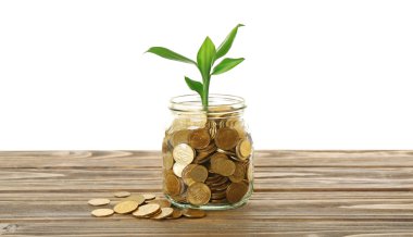 Para ve büyüyen Fideler