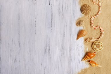 Hafif arkaplanda deniz kabukları