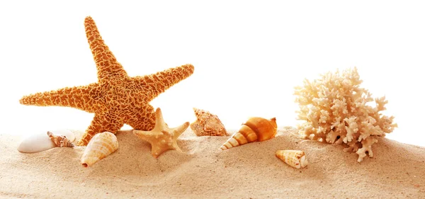 海星、 珊瑚和贝壳在沙滩上 — 图库照片