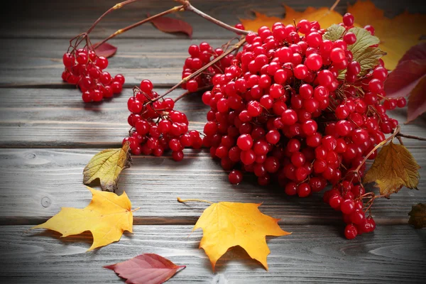 Guelder-rose and autumn leaves on wooden background — Stock Photo, Image