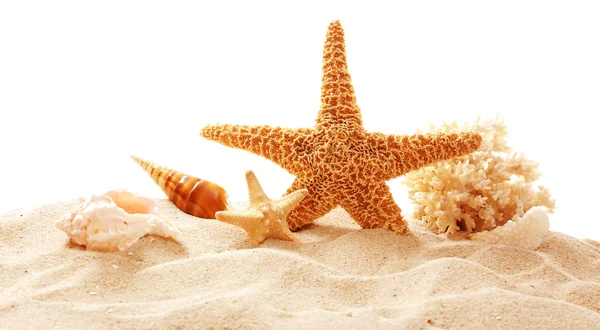 海星、 珊瑚和贝壳在沙滩上 — 图库照片