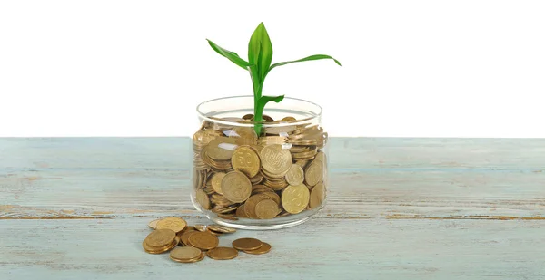 Geld en groeiende sprout — Stockfoto