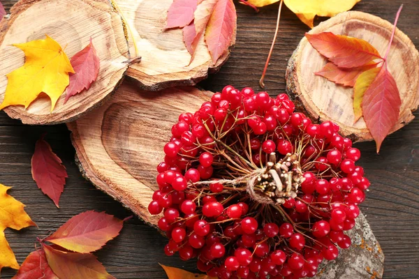 Bouquet de viorne et de feuilles colorées — Photo