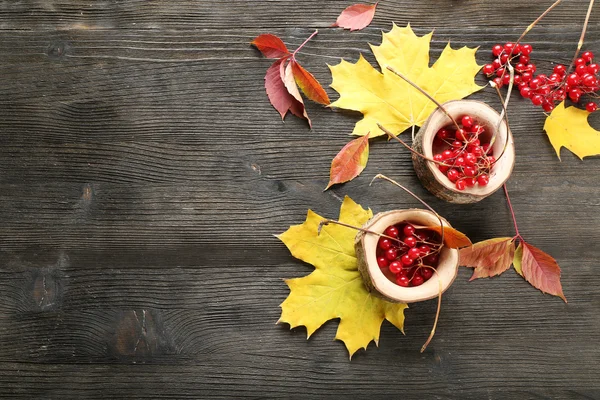 Herfst bladeren achtergrond — Stockfoto