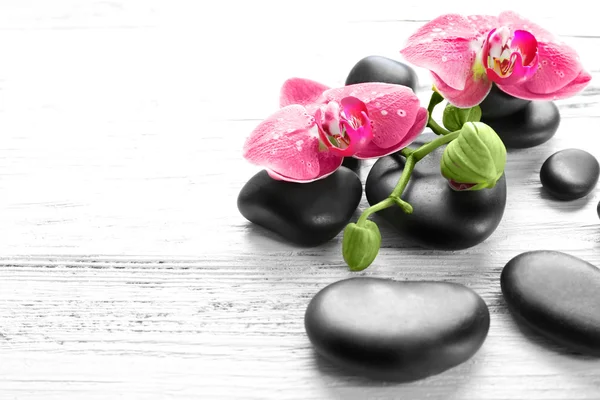 Beautiful composition of orchid and pebbles — Stock Photo, Image