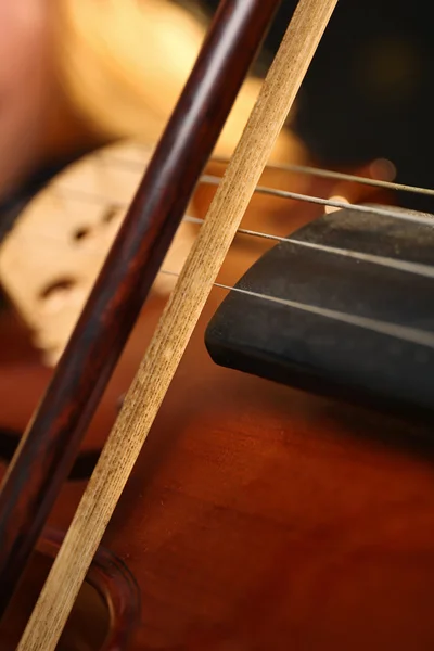 Musician plays violin — Stock Photo, Image