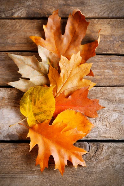 Autumn leaves background — Stock Photo, Image