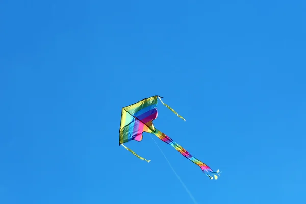 Drachen am blauen Himmel — Stockfoto