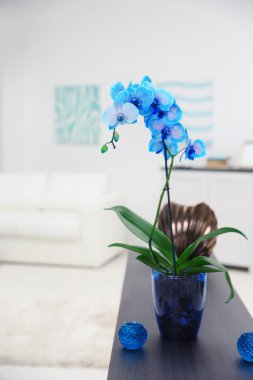 Mavi orkide çiçek masada