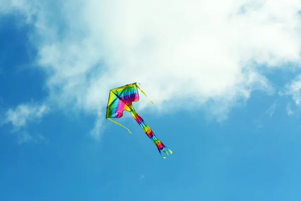 Cerf-volant dans le ciel bleu — Photo