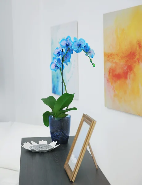 Orchidée en design d'intérieur — Photo