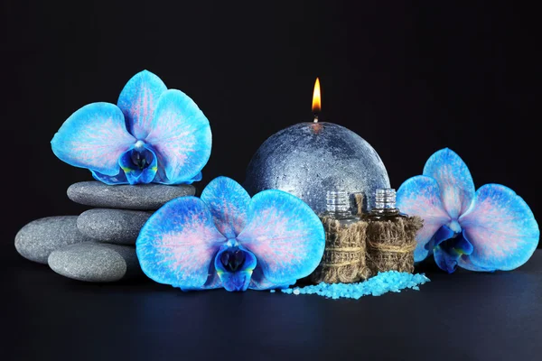 Set Spa. Bella orchidea blu con ciottoli — Foto Stock