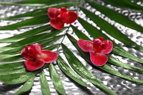 Purple orchids on palm leaves — Stock Photo, Image