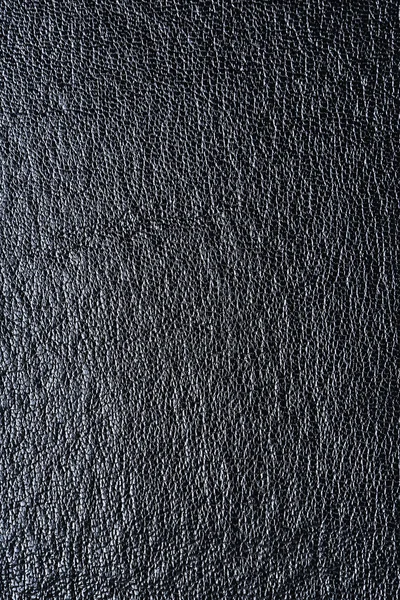 Textura de couro fundo — Fotografia de Stock