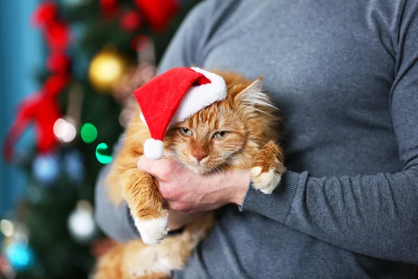 Muž hospodářství kočka v klobouku vánoční — Stock fotografie