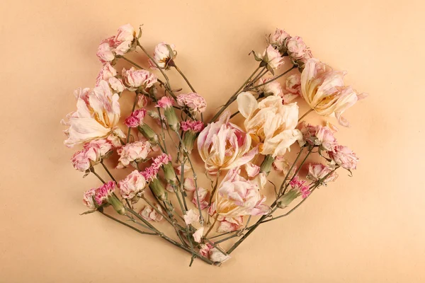 Dried flowers in shape of heart — Stock Photo, Image