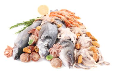 Taze Mediterranean kokteyl beyaz arka planda, yakın kadar balık