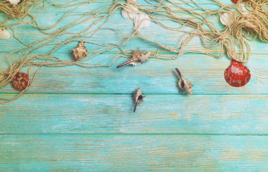 Deniz kabuklarını ve Balık ağı 