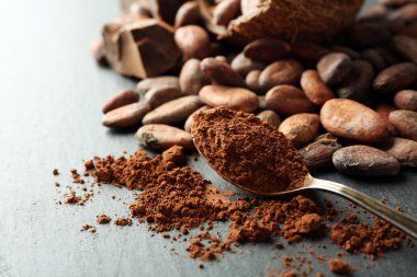 Aromatik kakao çekirdekleri ve gri arka plan üzerine çikolata ile kase, yakın çekim