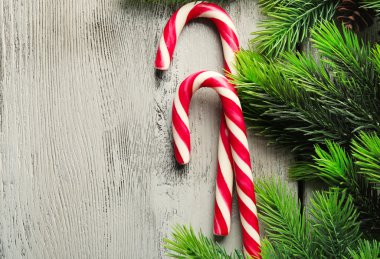 Lolipop şekerler köknar ağacı dalları üzerinde