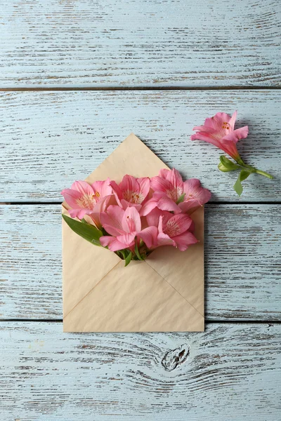 Pink alstroemeria in envelope — Stock Photo, Image