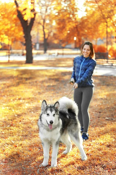 Kvinna promenader med hund i parken — Stockfoto