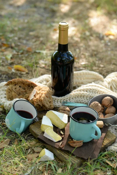 Schöne Picknick-Komposition — Stockfoto