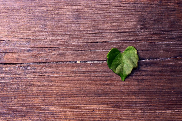 Leaf on wooden background — Stock Photo, Image