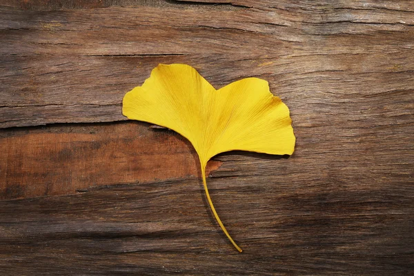 Feuille d'automne dorée — Photo