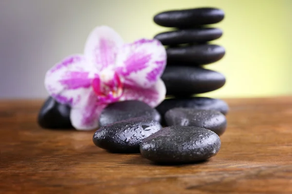 Black pebbles with orchid — Stock Photo, Image