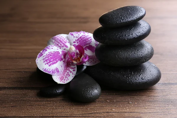 Black pebbles with orchid — Stock Photo, Image