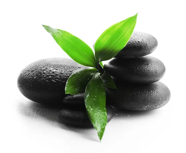 Stack of stones and a green leaves — Stock Photo, Image