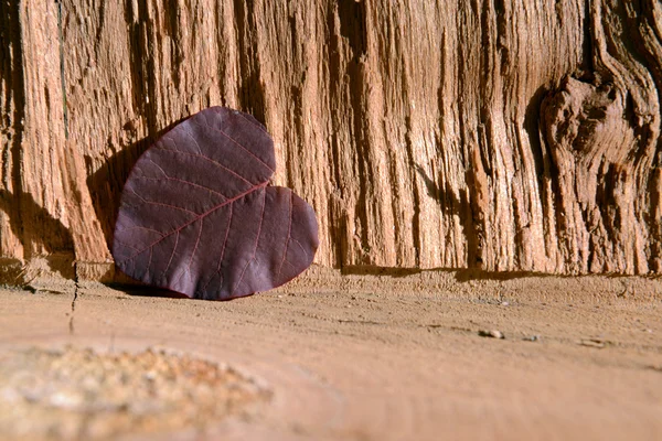 Kahverengi ahşap arka plan üzerinde yaprak — Stok fotoğraf