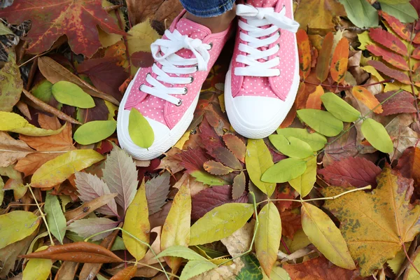 Mujer en zapatillas de pie sobre el follaje —  Fotos de Stock