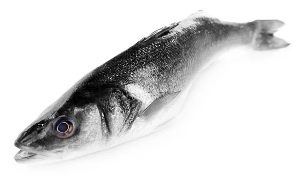 Φρέσκα ψάρια λαβρακιού που απομονώνονται σε λευκό φόντο — Φωτογραφία Αρχείου