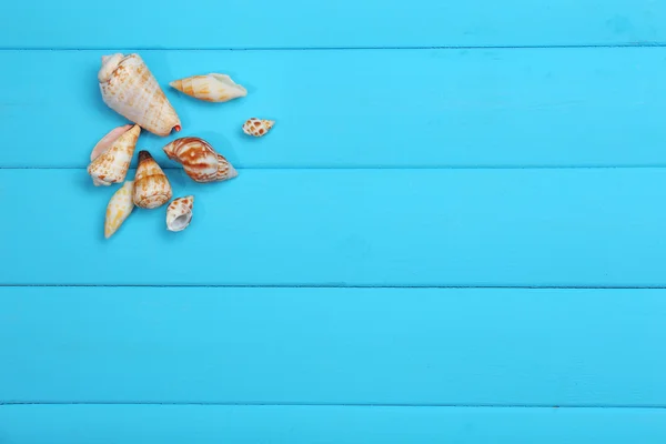 Conchas de mar sobre mesa de madera —  Fotos de Stock