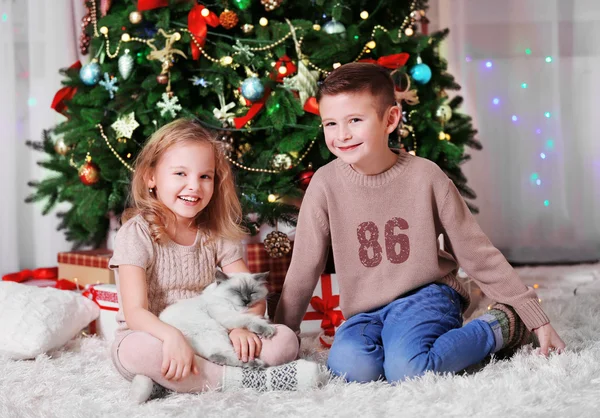 Gelukkige kinderen en pluizig kat — Stockfoto