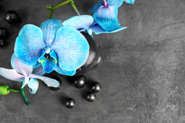 Composição spa com orquídea azul — Fotografia de Stock