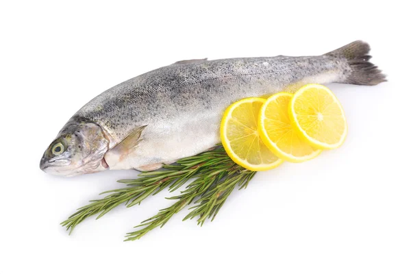 Ryby morskie świeże z cytryna i rozmarynem na białym tle — Zdjęcie stockowe