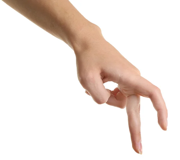 Mulher mão no branco — Fotografia de Stock