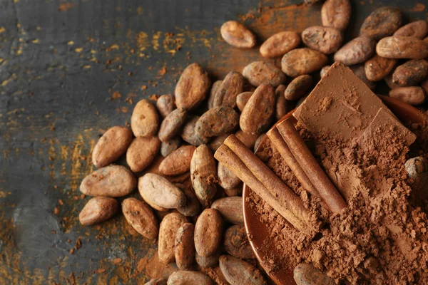 Aromatic cocoa and chocolate, close up — Stock Photo, Image