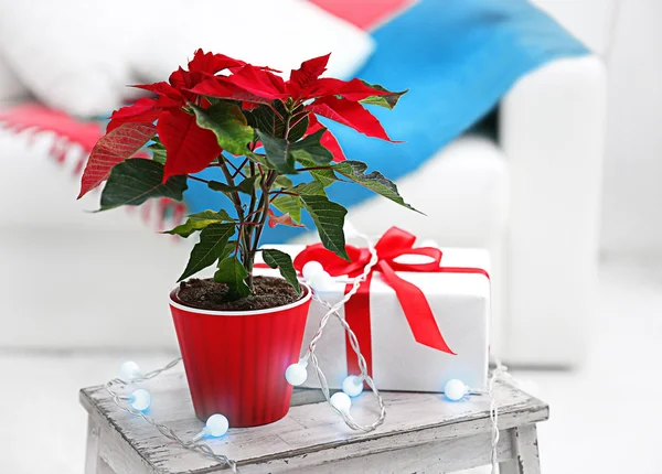 Natale fiore poinsettia e decorazioni — Foto Stock