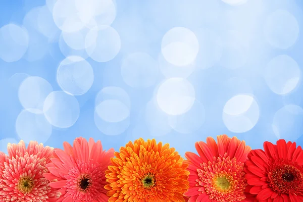 Beautiful boquet  on abstract  background — Stock Photo, Image