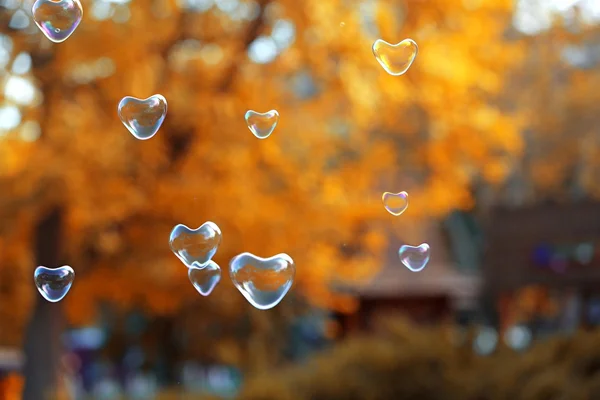 Zeepbellen in harten vormen — Stockfoto
