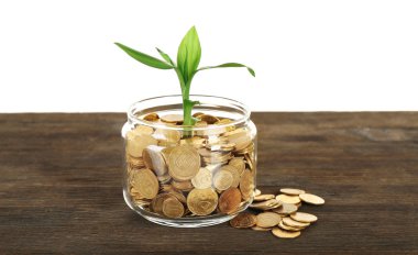 Para ve büyüyen Fideler