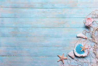 Deniz kabuklarını ahşap arka plan