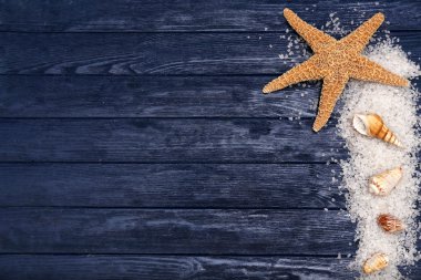 Deniz yıldızı ve satır içinde kabuklar 