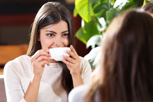 Kauniit tytöt juovat kahvia ja puhuvat — kuvapankkivalokuva